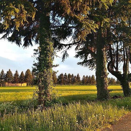 Appartamento La Casa Dei Nonni Malnate المظهر الخارجي الصورة